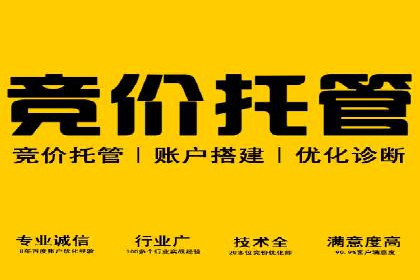 百度SEM竞价推广案例解析：某知名品牌如何抢占市场先机